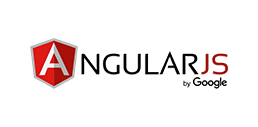 Angular Development in International level