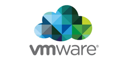 Vmware Management in International level